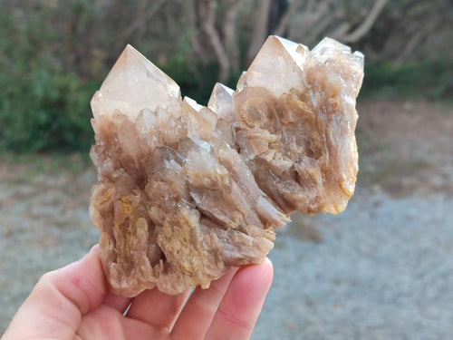 Natural White Phantom Smokey Luena Quartz Clusters x 2 From Luena, Congo - Toprock Gemstones and Minerals 