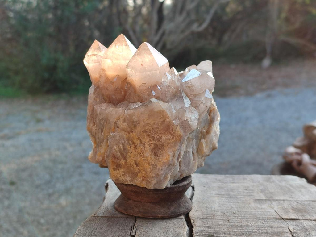 Natural White Phantom Smokey Luena Quartz Clusters x 2 From Luena, Congo - Toprock Gemstones and Minerals 