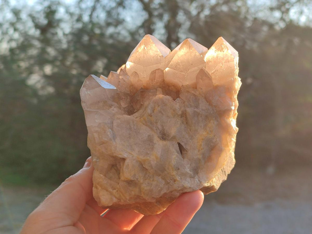 Natural White Phantom Smokey Luena Quartz Clusters x 2 From Luena, Congo - Toprock Gemstones and Minerals 