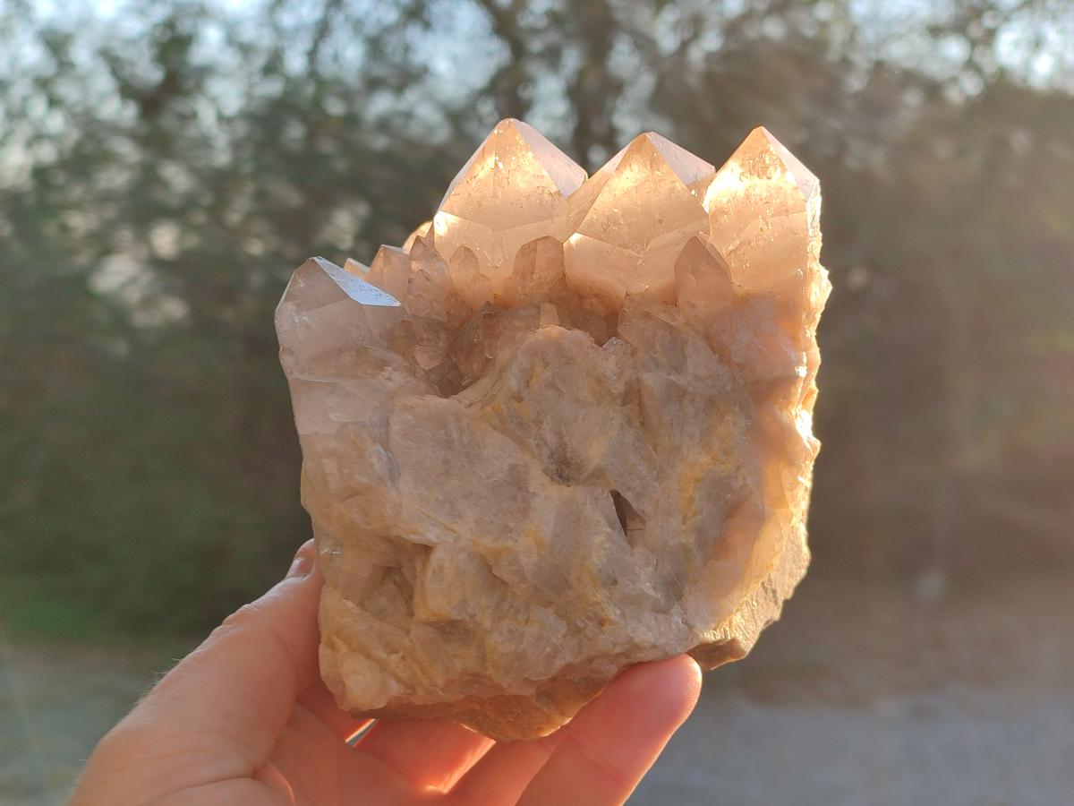 Natural White Phantom Smokey Luena Quartz Clusters x 2 From Luena, Congo - Toprock Gemstones and Minerals 