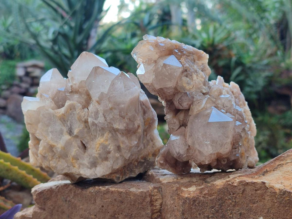 Natural White Phantom Smokey Luena Quartz Clusters x 2 From Luena, Congo - Toprock Gemstones and Minerals 