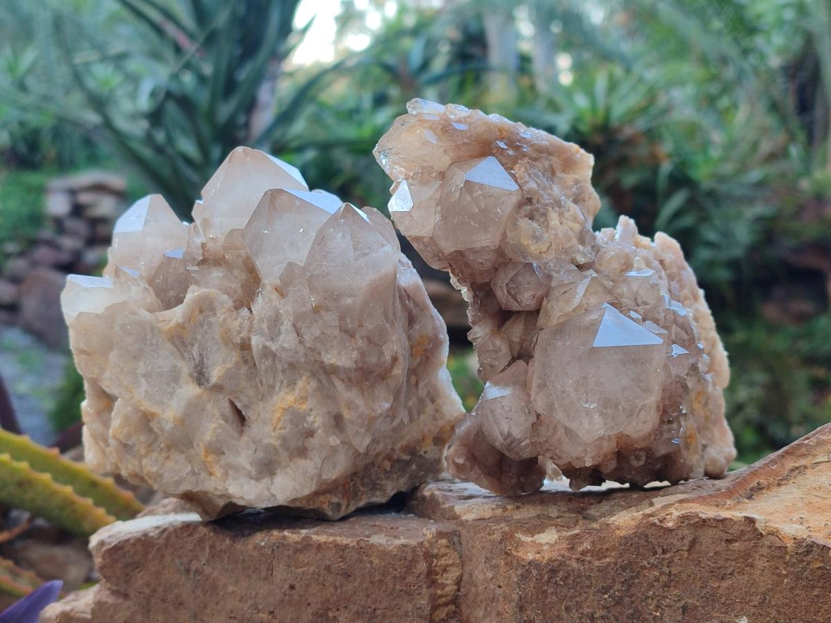 Natural White Phantom Smokey Luena Quartz Clusters x 2 From Luena, Congo - Toprock Gemstones and Minerals 
