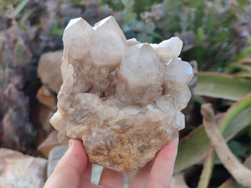 Natural White Phantom Smokey Luena Quartz Clusters x 2 From Luena, Congo - Toprock Gemstones and Minerals 