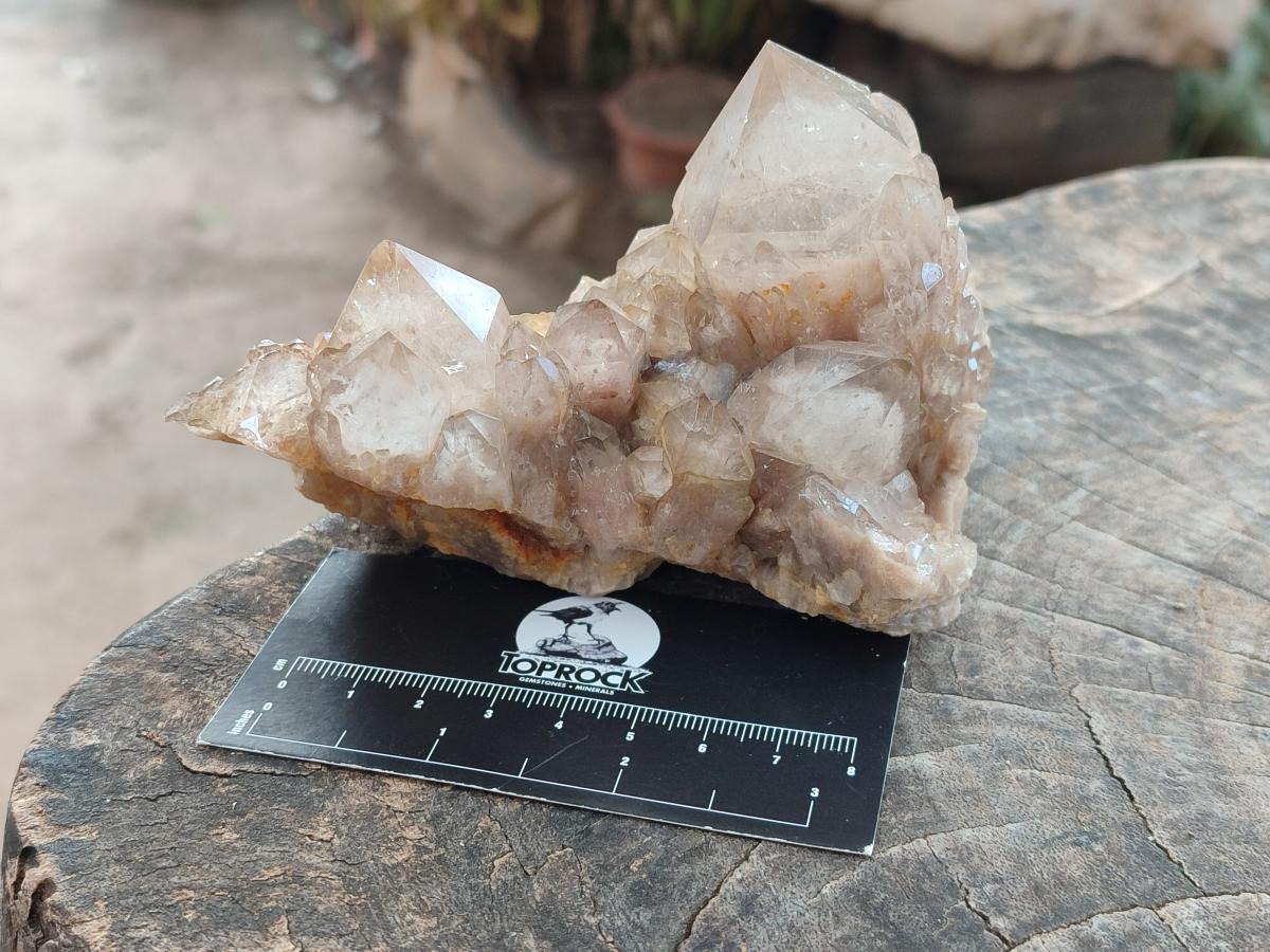 Natural White Phantom Smokey Luena Quartz Clusters x 2 From Luena, Congo - Toprock Gemstones and Minerals 