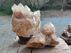 Natural White Phantom Smokey Luena Quartz Clusters x 2 From Luena, Congo - Toprock Gemstones and Minerals 