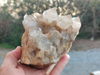 Natural White Phantom Smokey Luena Quartz Clusters x 2 From Luena, Congo - Toprock Gemstones and Minerals 