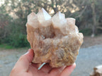 Natural White Phantom Smokey Luena Quartz Clusters x 2 From Luena, Congo - Toprock Gemstones and Minerals 