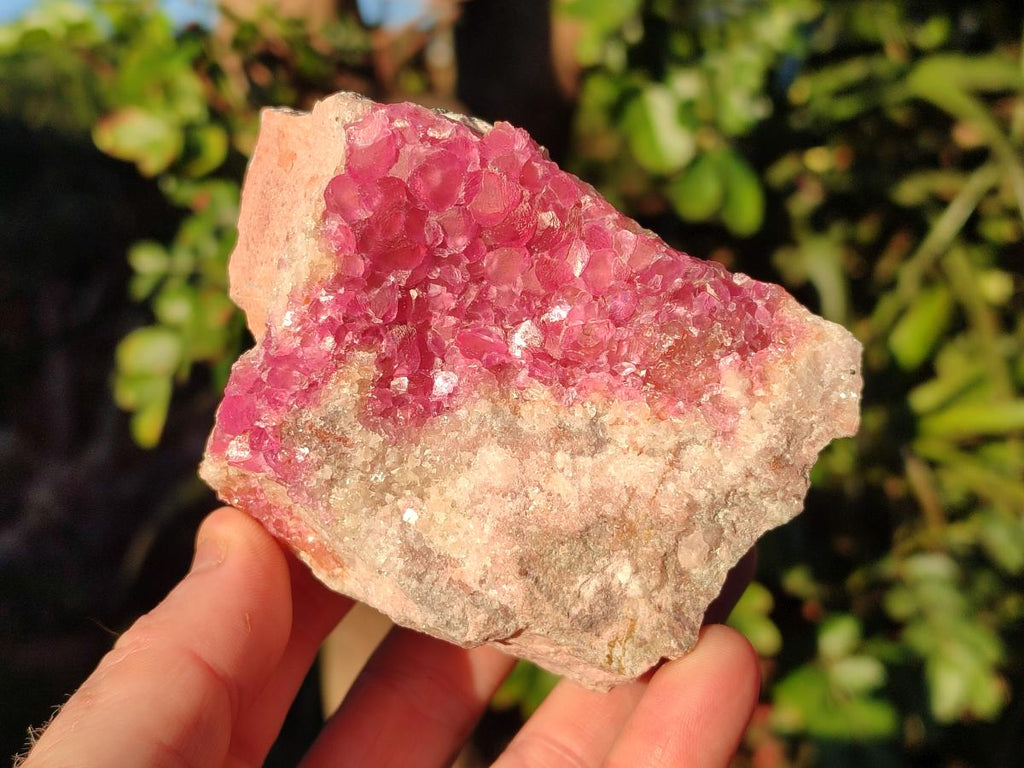 Natural Cabinet Sized Spherocobaltite Specimens x 2 From Musonoi Mine, Congo - Toprock Gemstones and Minerals 