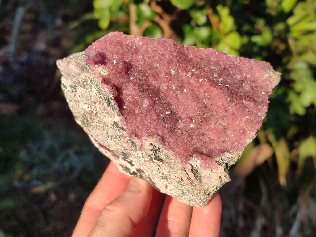 Natural Cabinet Sized Spherocobaltite Specimens x 2 From Musonoi Mine, Congo - Toprock Gemstones and Minerals 