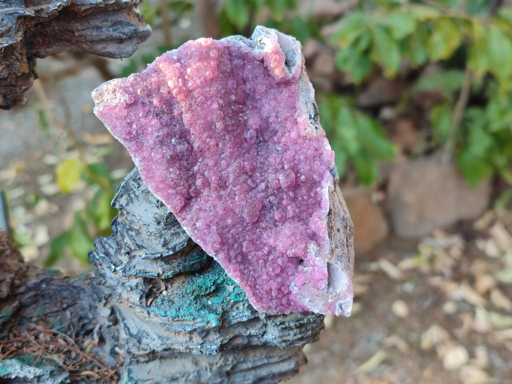 Natural Cabinet Sized Spherocobaltite Specimens x 2 From Musonoi Mine, Congo - Toprock Gemstones and Minerals 