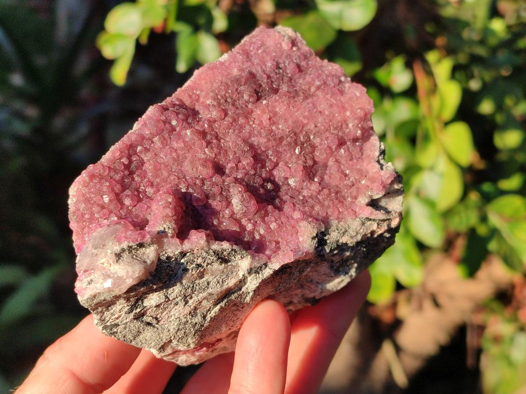 Natural Cabinet Sized Spherocobaltite Specimens x 2 From Musonoi Mine, Congo - Toprock Gemstones and Minerals 