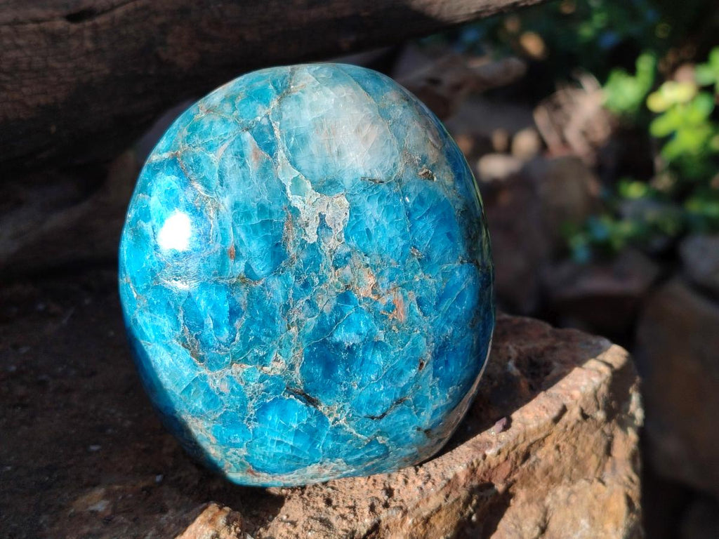 Polished Blue Apatite Standing Display Pieces x 4 From Betroka, Madagascar - Toprock Gemstones and Minerals 