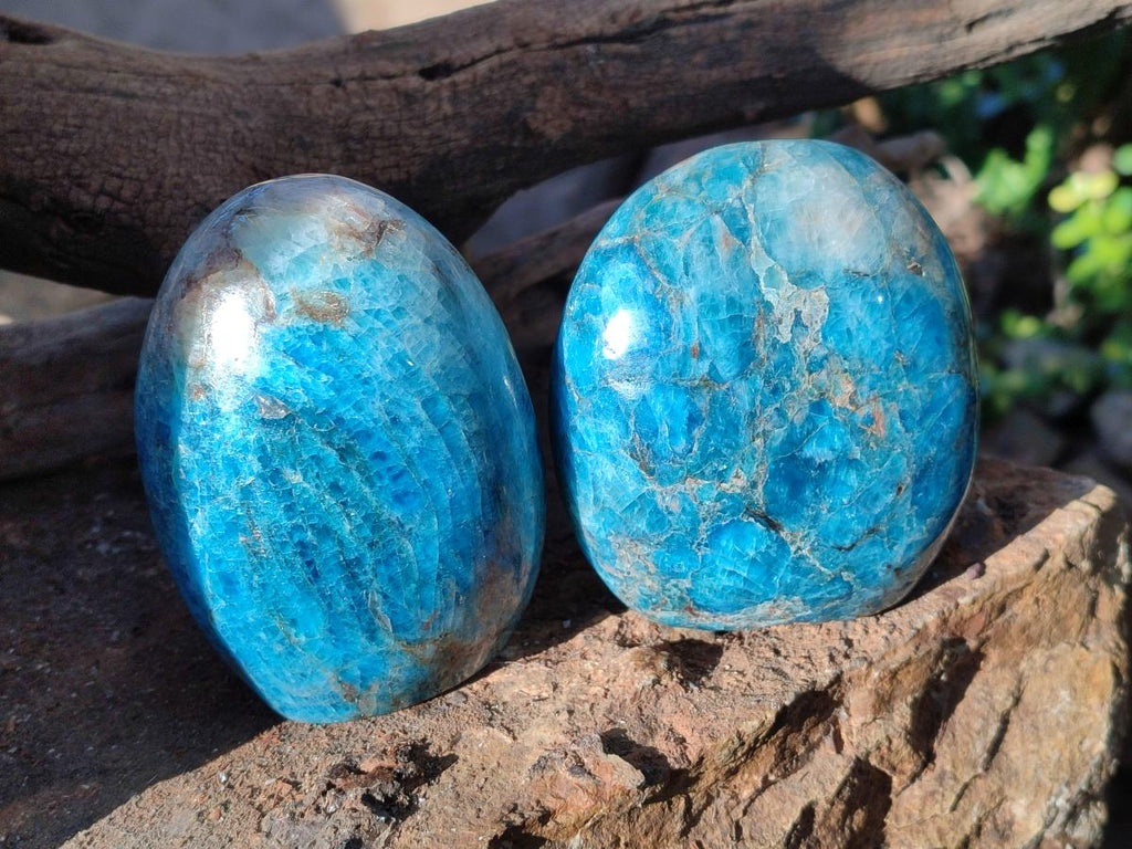 Polished Blue Apatite Standing Display Pieces x 4 From Betroka, Madagascar - Toprock Gemstones and Minerals 