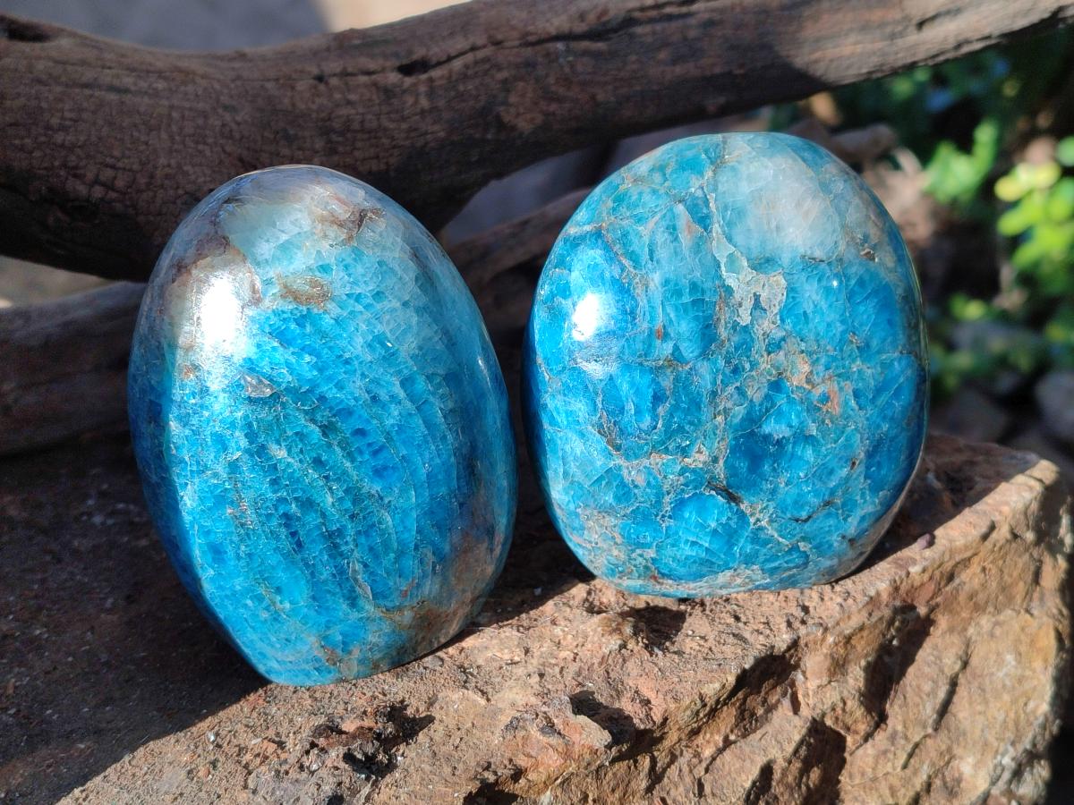 Polished Blue Apatite Standing Display Pieces x 4 From Betroka, Madagascar - Toprock Gemstones and Minerals 