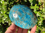 Polished Blue Apatite Standing Display Pieces x 4 From Betroka, Madagascar - Toprock Gemstones and Minerals 