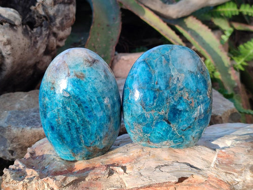 Polished Blue Apatite Standing Display Pieces x 4 From Betroka, Madagascar - Toprock Gemstones and Minerals 