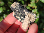 Natural Schorl Black Tourmaline with Orthoclase x 27 From Erongo, Namibia - Toprock Gemstones and Minerals 