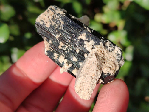 Natural Schorl Black Tourmaline with Orthoclase x 27 From Erongo, Namibia - Toprock Gemstones and Minerals 