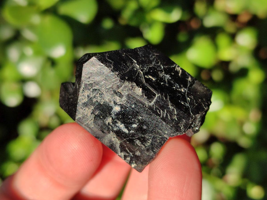 Natural Schorl Black Tourmaline with Orthoclase x 27 From Erongo, Namibia - Toprock Gemstones and Minerals 