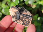 Natural Schorl Black Tourmaline with Orthoclase x 27 From Erongo, Namibia - Toprock Gemstones and Minerals 