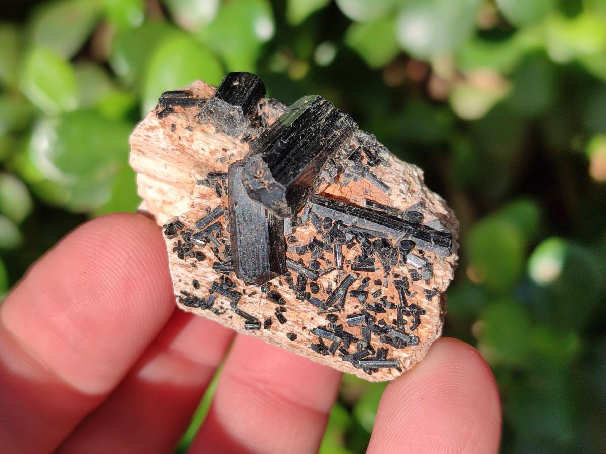 Natural Schorl Black Tourmaline with Orthoclase x 27 From Erongo, Namibia - Toprock Gemstones and Minerals 