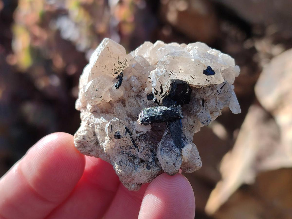 Natural Schorl Black Tourmaline with Orthoclase x 27 From Erongo, Namibia - Toprock Gemstones and Minerals 