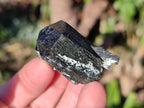 Natural Schorl Black Tourmaline with Orthoclase x 27 From Erongo, Namibia - Toprock Gemstones and Minerals 