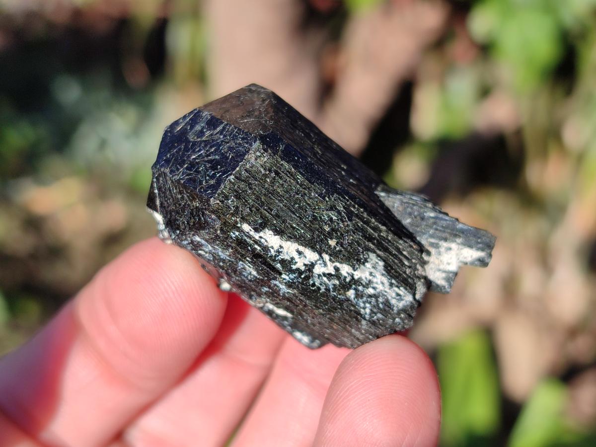 Natural Schorl Black Tourmaline with Orthoclase x 27 From Erongo, Namibia - Toprock Gemstones and Minerals 
