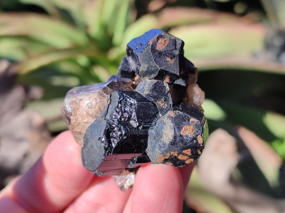 Natural Schorl Black Tourmaline with Orthoclase x 27 From Erongo, Namibia - Toprock Gemstones and Minerals 
