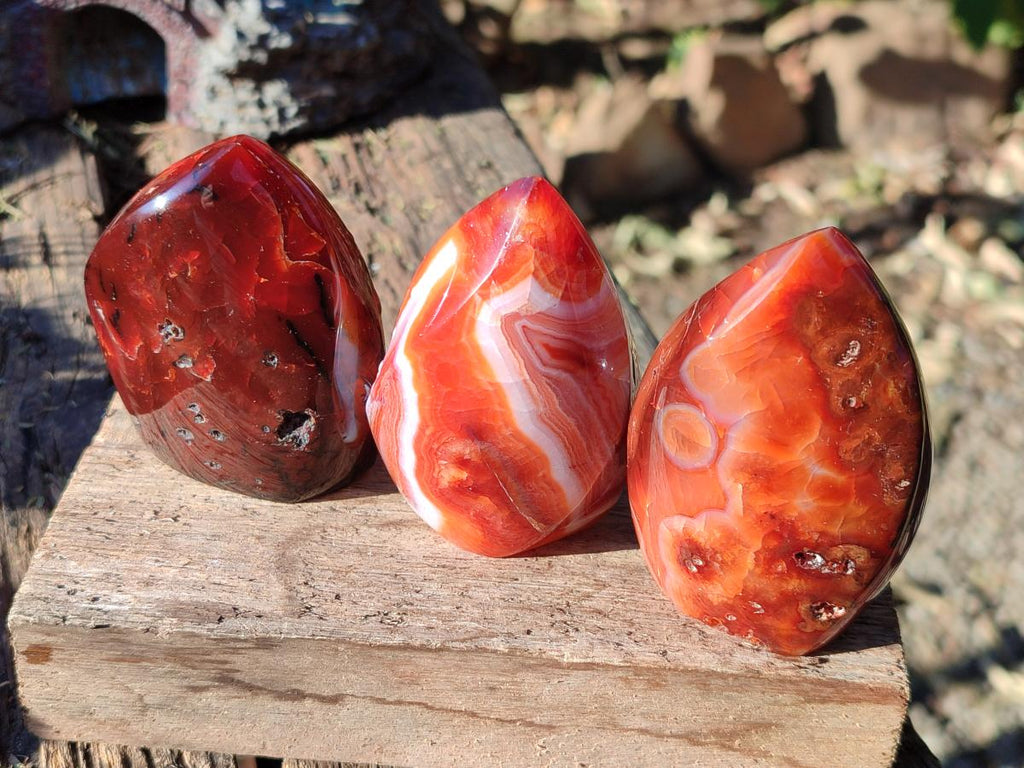 Polished Small Carnelian Agate Gemstone Standing Display Pieces x 12 From Madagascar - Toprock Gemstones and Minerals 