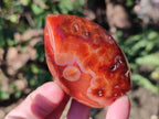 Polished Small Carnelian Agate Gemstone Standing Display Pieces x 12 From Madagascar - Toprock Gemstones and Minerals 