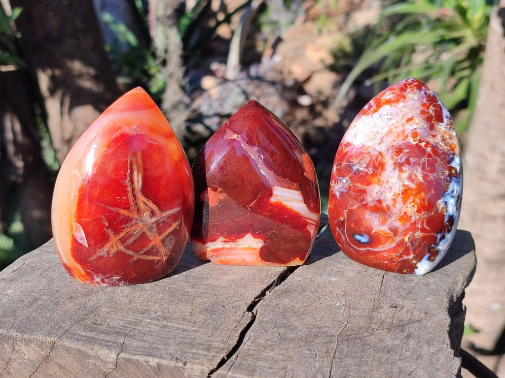 Polished Small Carnelian Agate Gemstone Standing Display Pieces x 12 From Madagascar - Toprock Gemstones and Minerals 