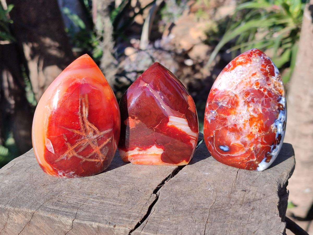 Polished Small Carnelian Agate Gemstone Standing Display Pieces x 12 From Madagascar - Toprock Gemstones and Minerals 