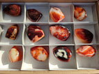 Polished Small Carnelian Agate Gemstone Standing Display Pieces x 12 From Madagascar - Toprock Gemstones and Minerals 