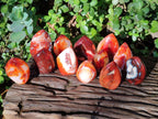 Polished Small Carnelian Agate Gemstone Standing Display Pieces x 12 From Madagascar - Toprock Gemstones and Minerals 