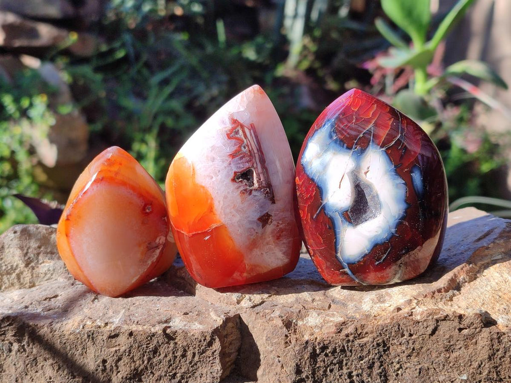 Polished Small Carnelian Agate Gemstone Standing Display Pieces x 12 From Madagascar - Toprock Gemstones and Minerals 