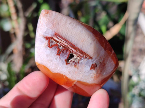 Polished Small Carnelian Agate Gemstone Standing Display Pieces x 12 From Madagascar - Toprock Gemstones and Minerals 