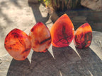 Polished Small Carnelian Agate Gemstone Standing Display Pieces x 12 From Madagascar - Toprock Gemstones and Minerals 