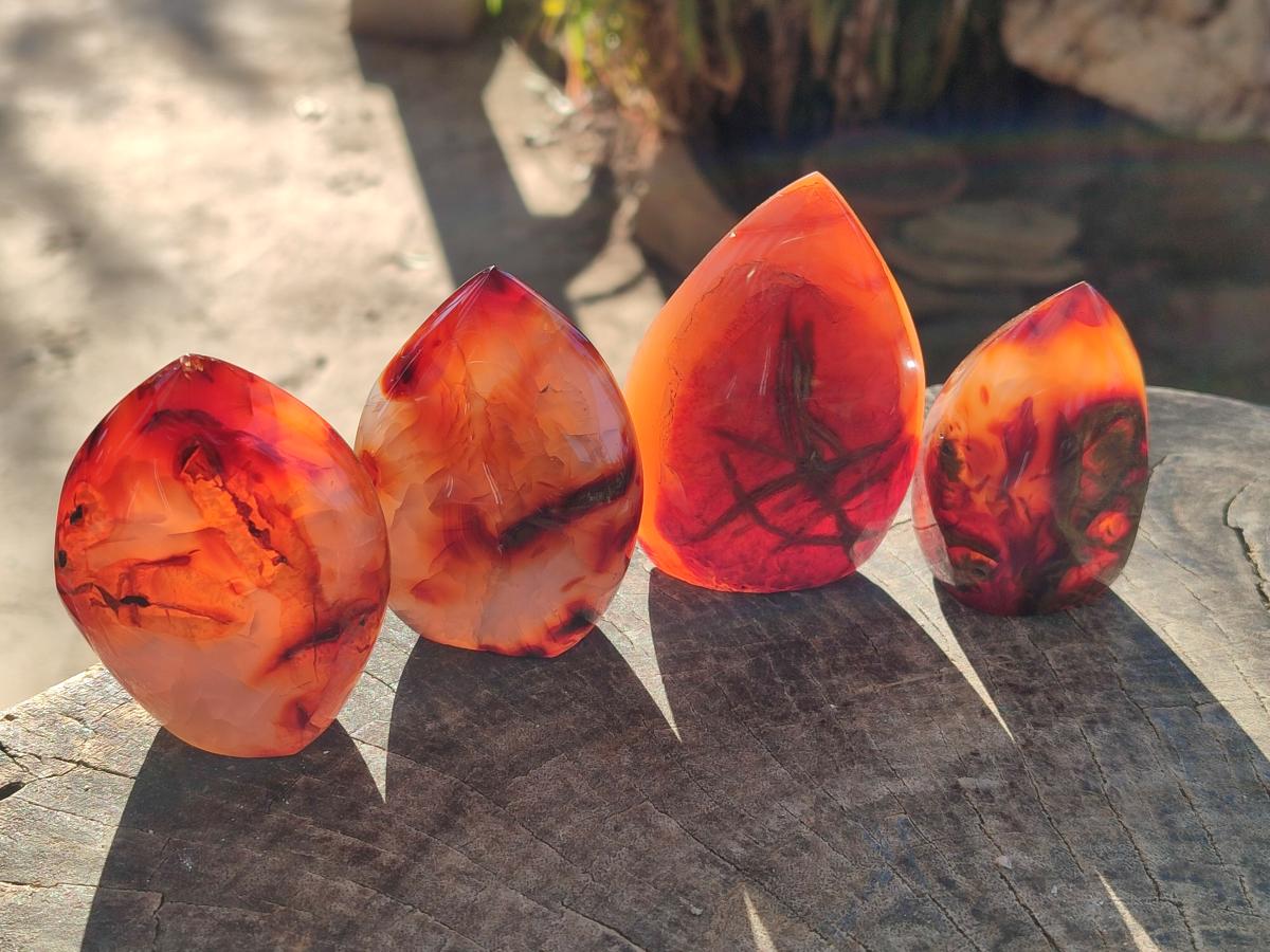 Polished Small Carnelian Agate Gemstone Standing Display Pieces x 12 From Madagascar - Toprock Gemstones and Minerals 