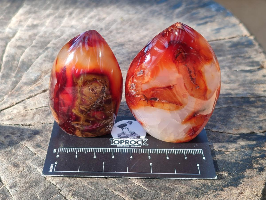 Polished Small Carnelian Agate Gemstone Standing Display Pieces x 12 From Madagascar - Toprock Gemstones and Minerals 