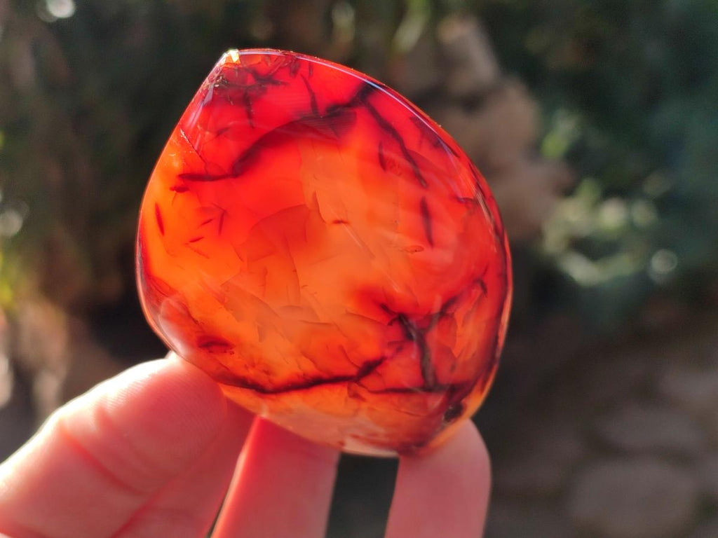 Polished Small Carnelian Agate Gemstone Standing Display Pieces x 12 From Madagascar - Toprock Gemstones and Minerals 