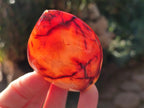Polished Small Carnelian Agate Gemstone Standing Display Pieces x 12 From Madagascar - Toprock Gemstones and Minerals 