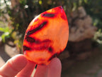 Polished Small Carnelian Agate Gemstone Standing Display Pieces x 12 From Madagascar - Toprock Gemstones and Minerals 