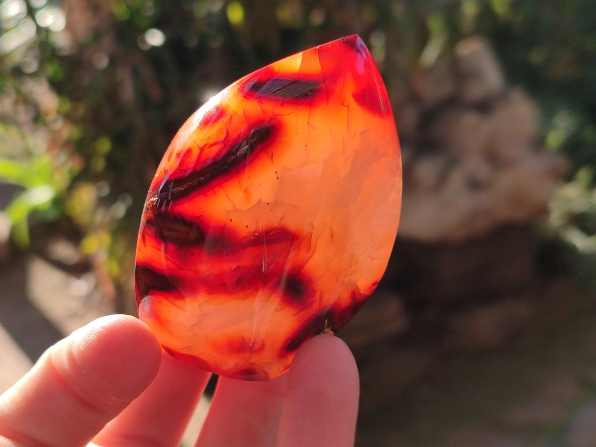 Polished Small Carnelian Agate Gemstone Standing Display Pieces x 12 From Madagascar - Toprock Gemstones and Minerals 