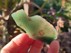 Polished On One Side Mtorolite Chrysoprase Slices x 35 From Mutorashanga, Zimbabwe - Toprock Gemstones and Minerals 