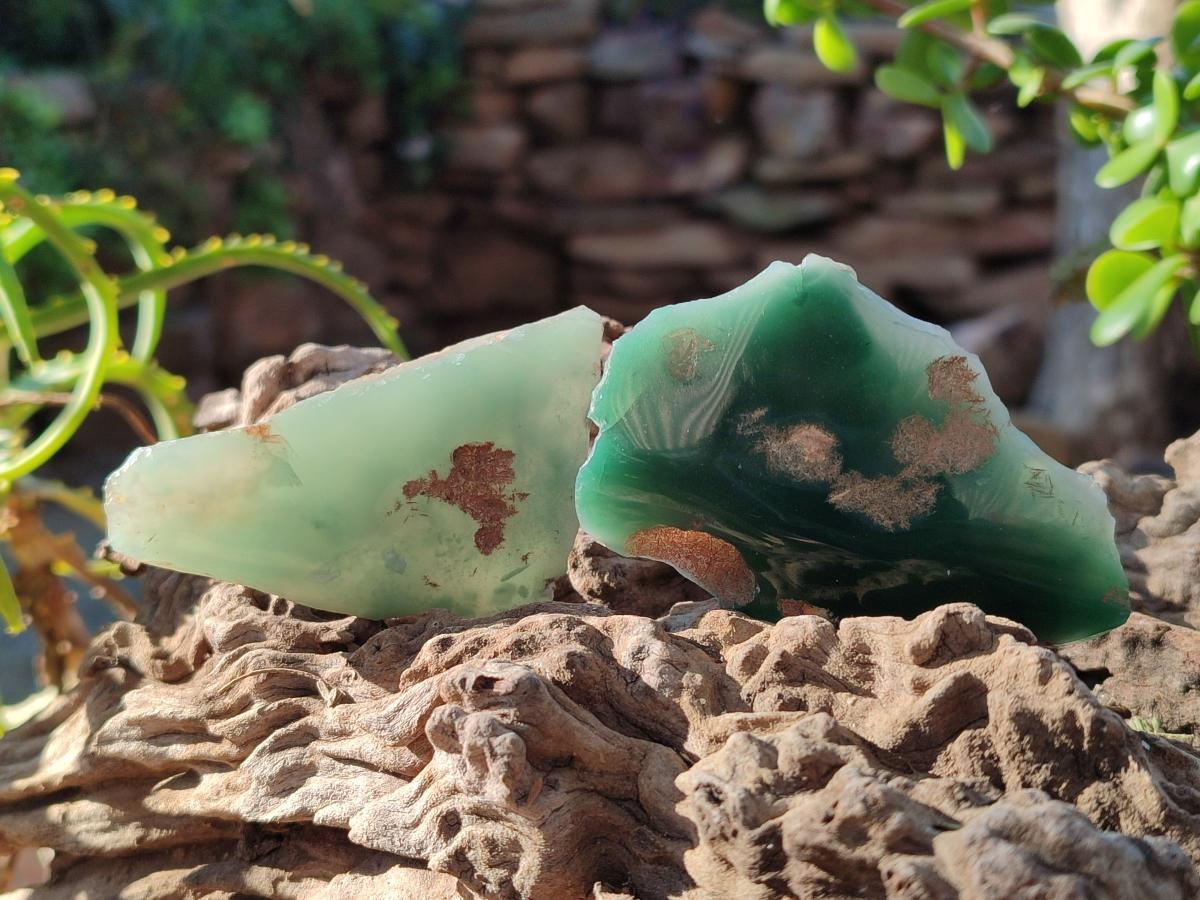 Polished On One Side Mtorolite Chrysoprase Slices x 35 From Mutorashanga, Zimbabwe - Toprock Gemstones and Minerals 