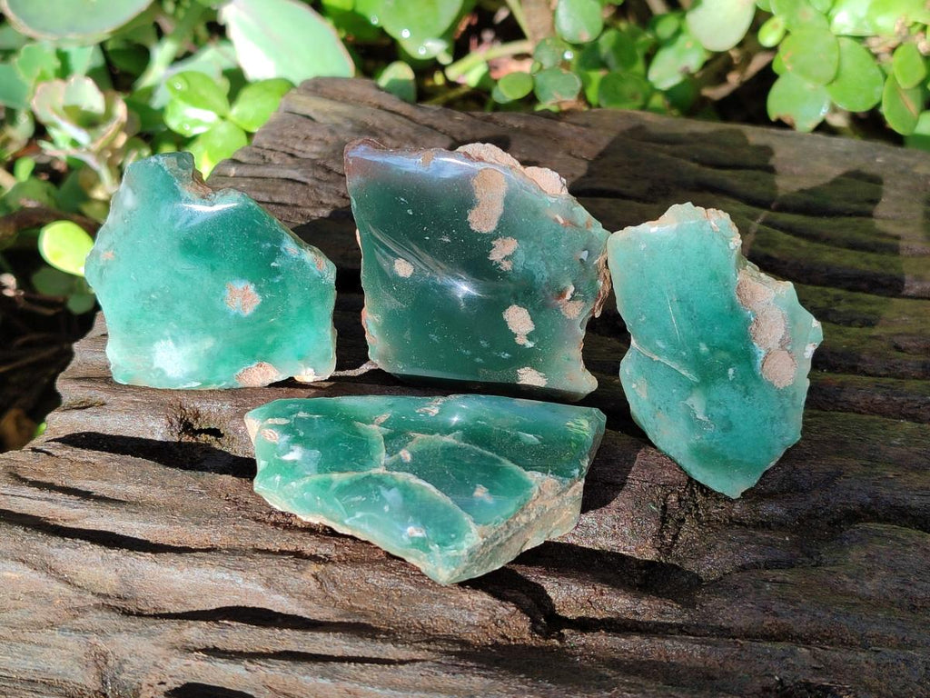 Polished On One Side Mtorolite Chrysoprase Slices x 35 From Mutorashanga, Zimbabwe - Toprock Gemstones and Minerals 