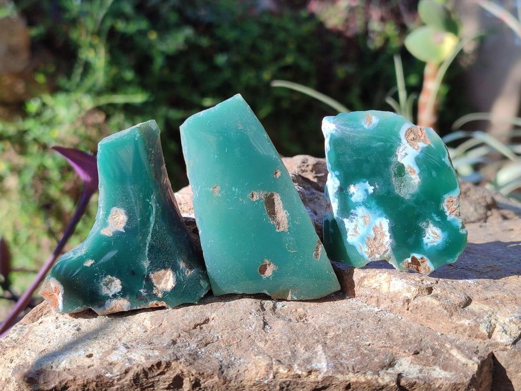 Polished On One Side Mtorolite Chrysoprase Slices x 35 From Mutorashanga, Zimbabwe - Toprock Gemstones and Minerals 