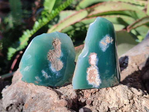 Polished On One Side Mtorolite Chrysoprase Slices x 35 From Mutorashanga, Zimbabwe - Toprock Gemstones and Minerals 
