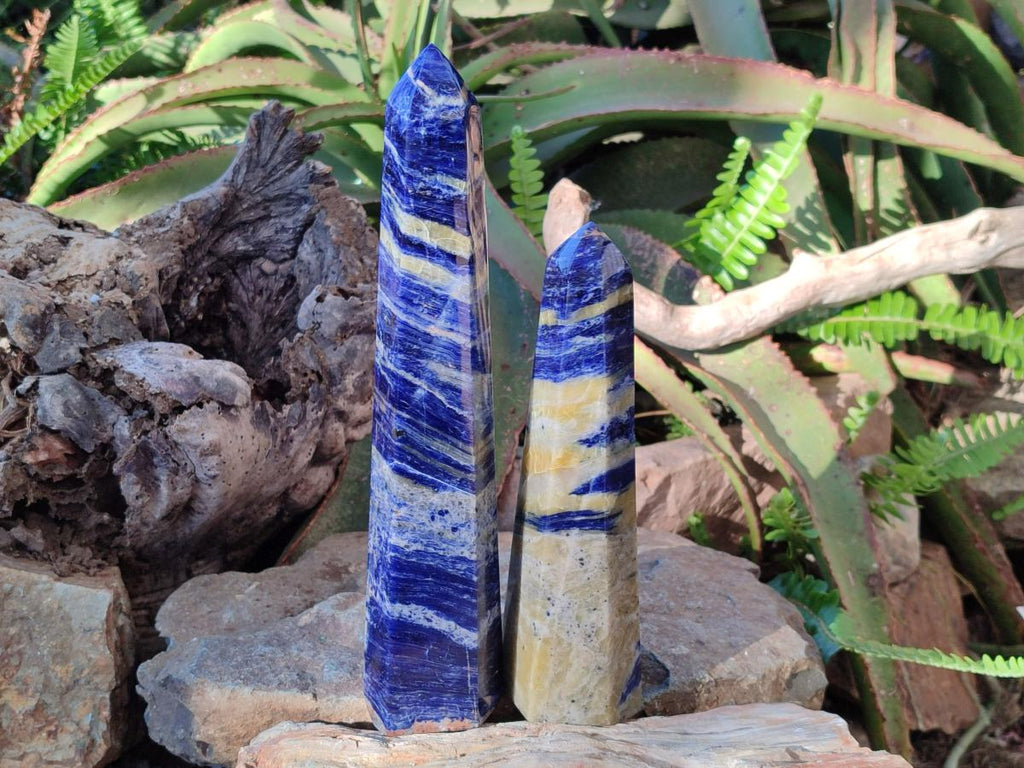 Polished Sodalite Display Tower x 2 From Kunene River, Namibia - Toprock Gemstones and Minerals 